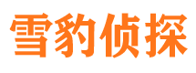 大余市私家侦探